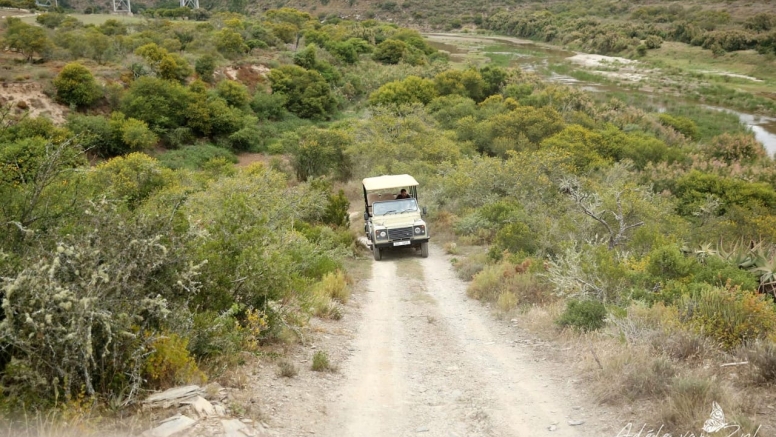 Game Drive image 3