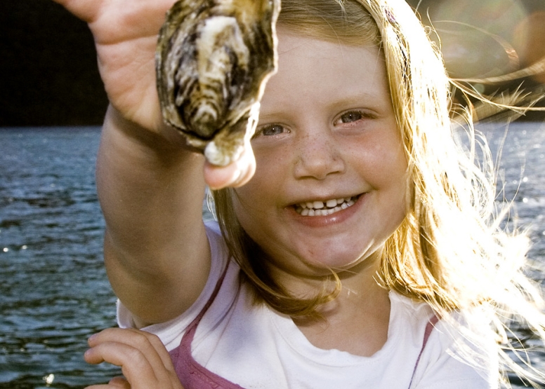 Oyster Tour image 2