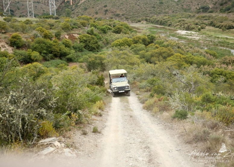 Game Drive image 3