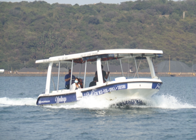2 Hour Private Durban Sea Safari image 8