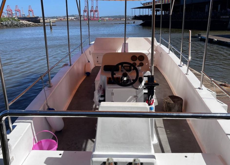 2 Hour Private Durban Sea Safari image 6