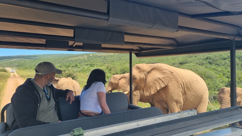 Half-Day Schotia Game Reserve (Open 4x4 Safari Vehicle) image 2