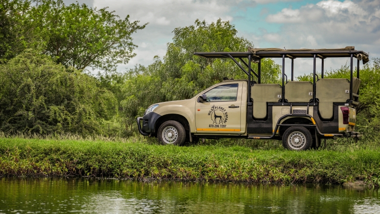 Full Day Private Kruger Safari image 9