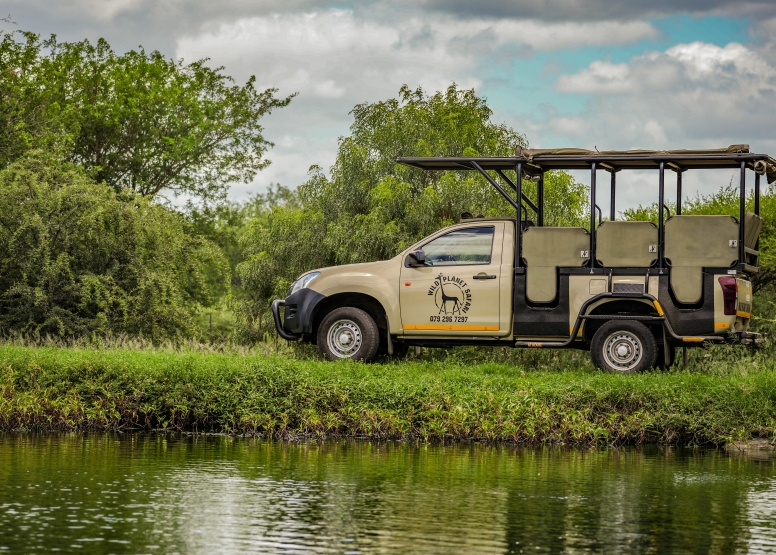 Full Day Private Kruger Safari image 9