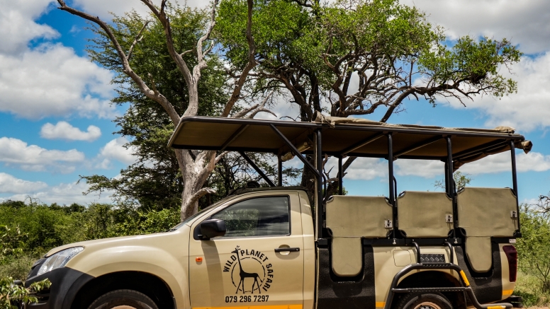 Full Day Private Kruger Safari image 8
