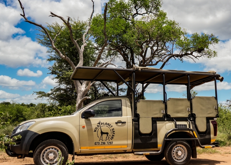 Full Day Private Kruger Safari image 8