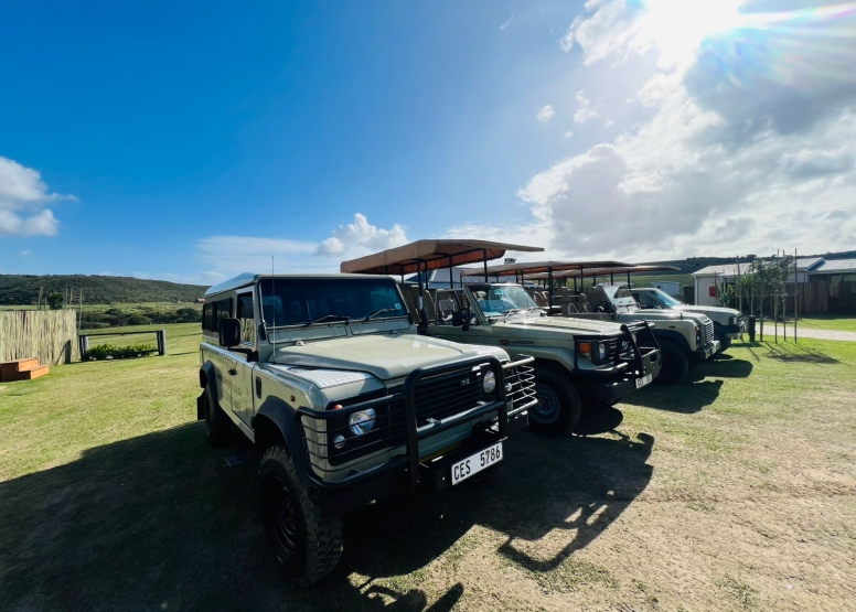 Game Drive image 2