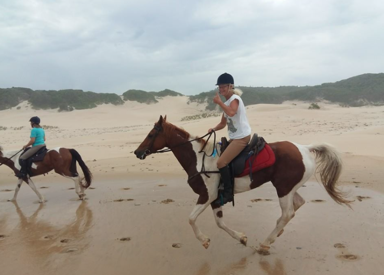 Full Day Beach Horse Ride image 2