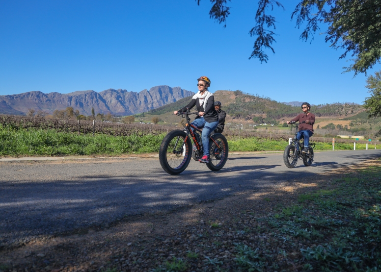 Electric Bike Winelands Tour image 7