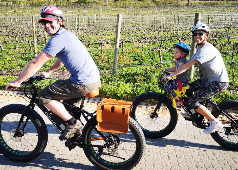 Vinebikes  Franschhoek - Half Day E-Bike Wine Tour image 2