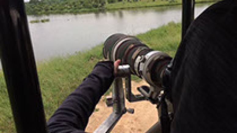 Photographic Full Day Private Safari Kruger Park image 8