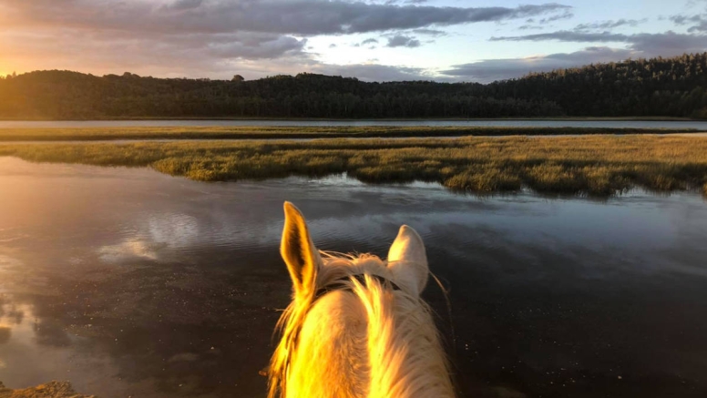 Kariega River Horse Ride image 1