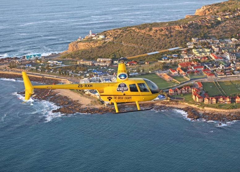 Helicopter scenic flight to Diaz Beach image 1