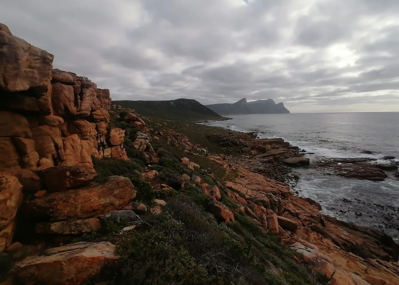 Cape Point Trail Run image 13