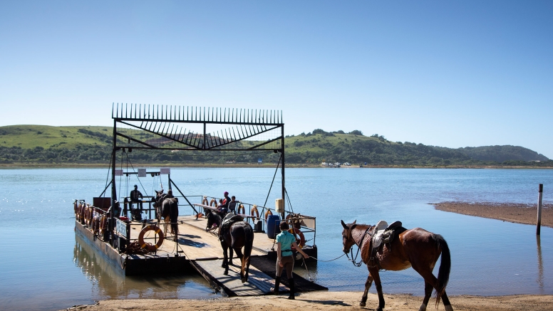 7 night 8 day Wild Coast Horse Trail our Signature Monthly Adventure Trail image 2
