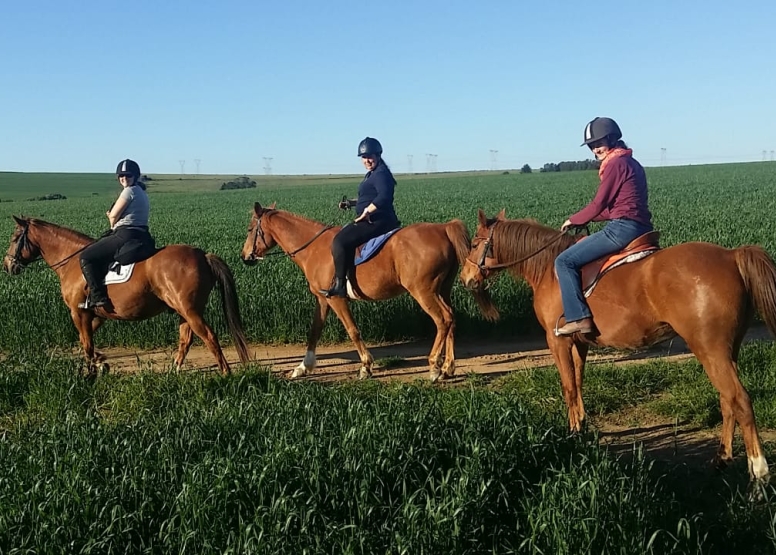 HALF DAY HORSEBACK WINE TOUR image 4