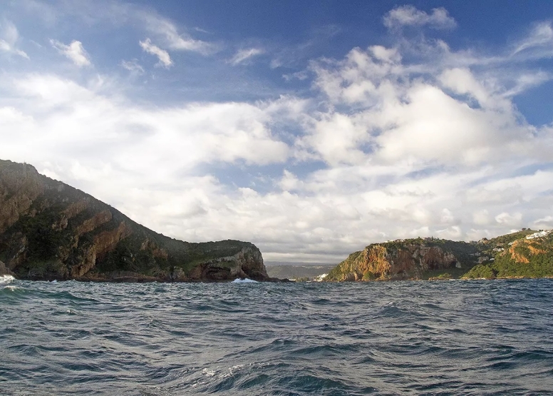 Knysna Whale Watching - Close Encounters image 8