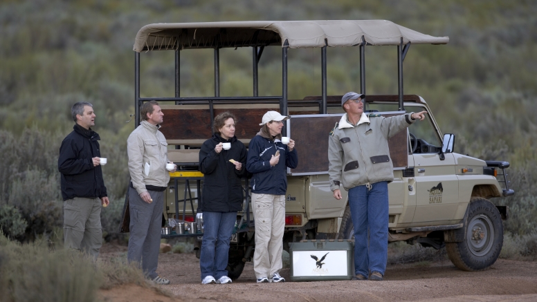 Early Morning Safari image 5