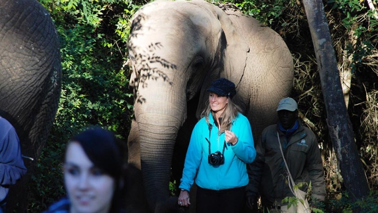 Trunk-in-Hand Elephant Tour image 1