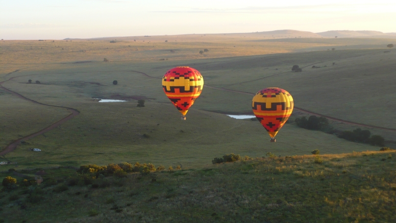 Safari Flight image 4