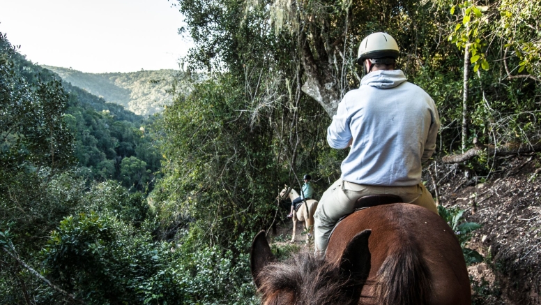 1 Hour Mountain and forest horse ride Kurland Park image 1