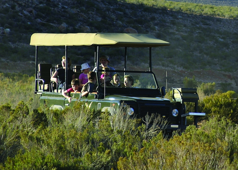 Daytrip Quad bike Combo Safari(Including Transfer) image 8