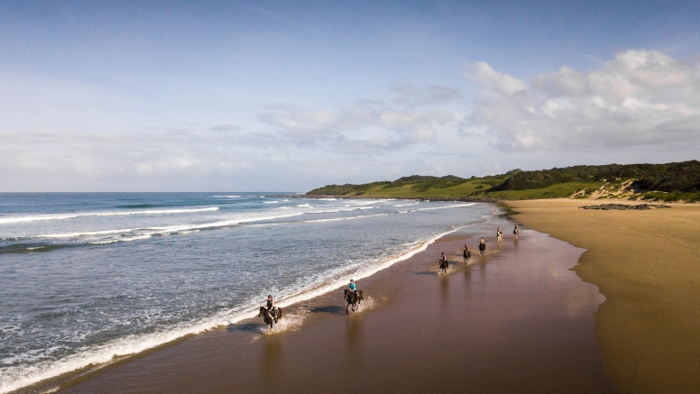 Kei Mouth Beginners Beach Ride image 6