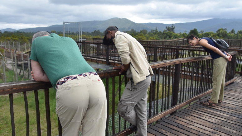 Wild Cat Experience image 8
