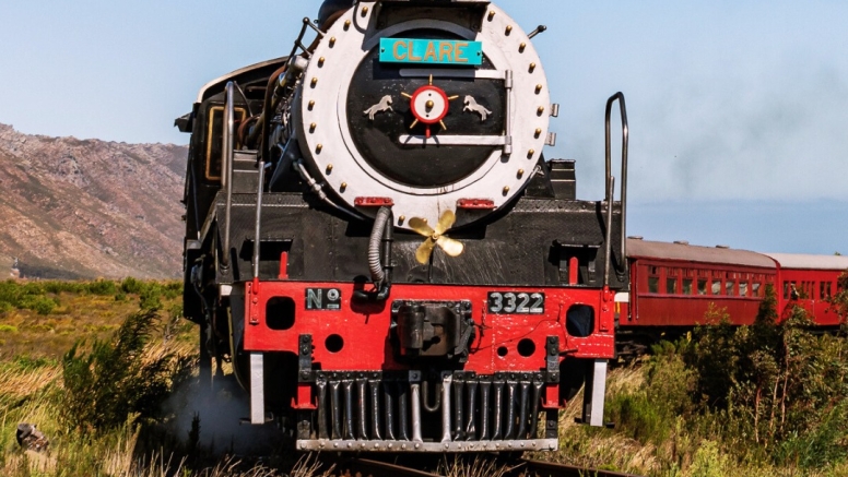 Steam Train to Elgin Observation Car Groups 25 to 34 pax image 1