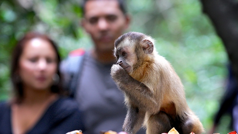 The Hidden Forest Wildlife Sanctuary image 5