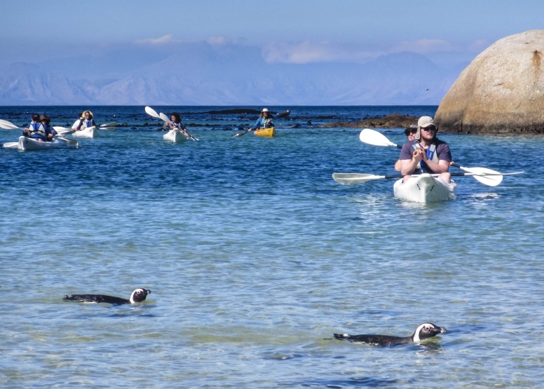 Penguin Kayak Trip image 9