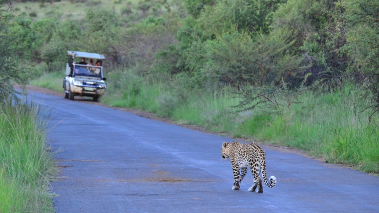 Private Game Drive Sun City - 10 Seater image 1