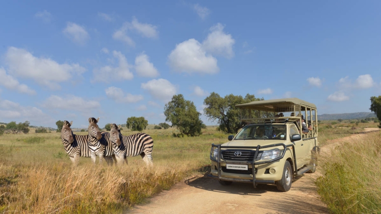 Full Safari Tour image 1