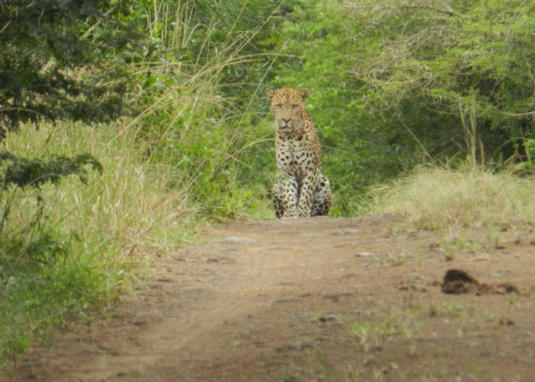 iSimangaliso Wetland Park Full day Family Safari image 2