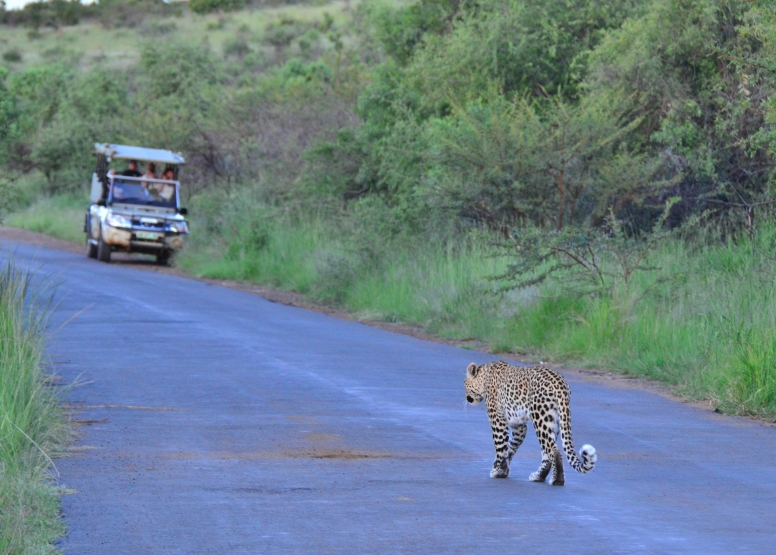 Private Game Drive Sun City - 10 Seater image 1