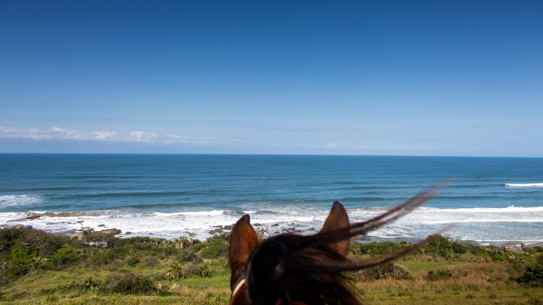 Morgan Bay Cliff Top Beach Ride image 1