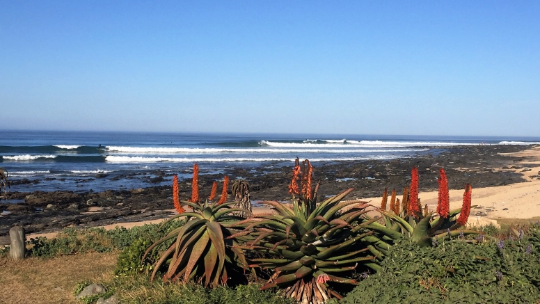 Surf Guide - Full Day image 2