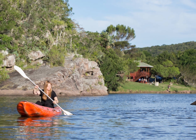 Full Day River Kayak or Canoe Rental image 9