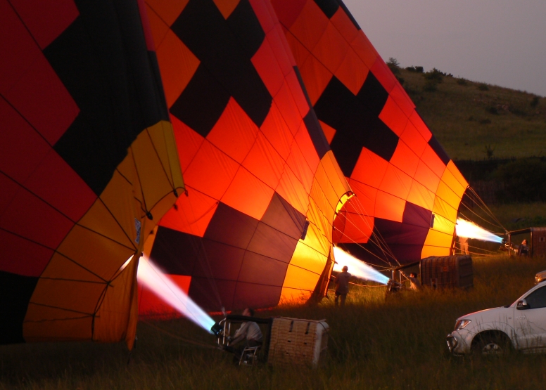 Safari Flight image 2