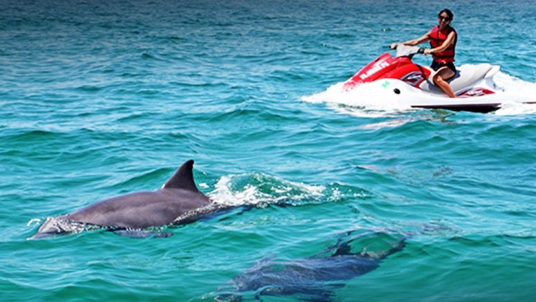 30 Min Jet Ski Experience Cape Town image 1