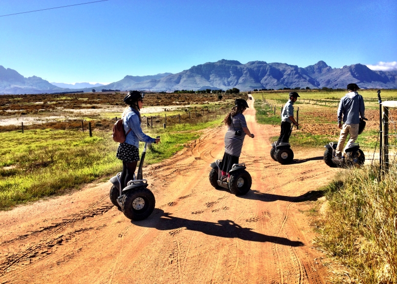 Segway Spier Wine Farm & Vineyards Tour image 1