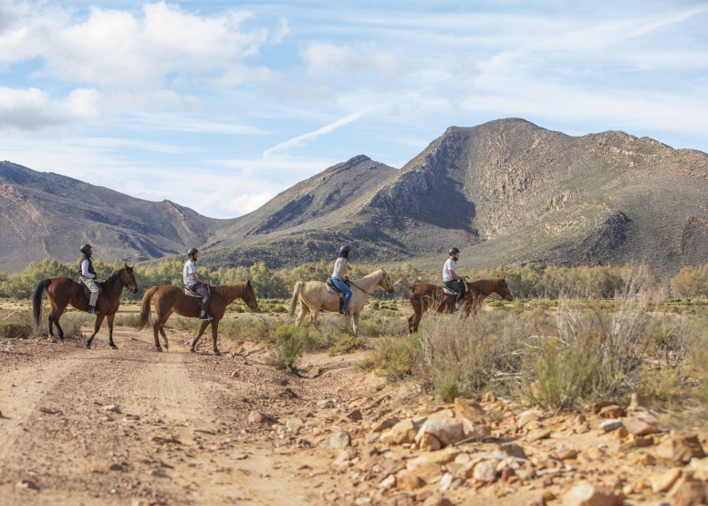 Horseback Safari (Including Transfer) image 9