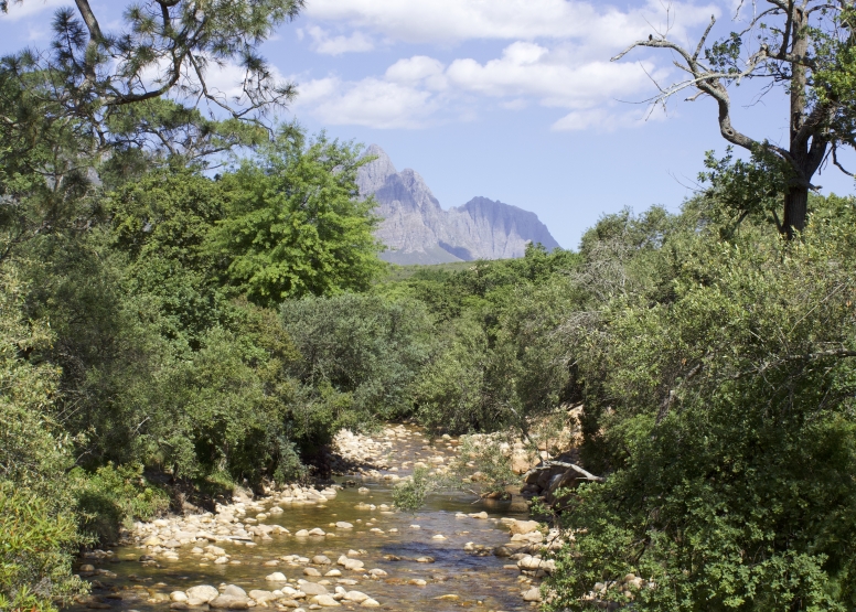 Stellenbosch Art Mile Walking Tour image 1