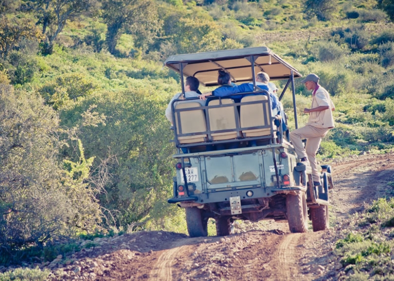 Bush Safari image 1