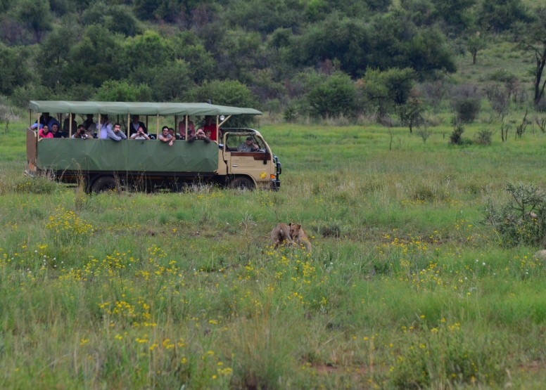 Private Game Drive Sun City - 25 Seater image 4