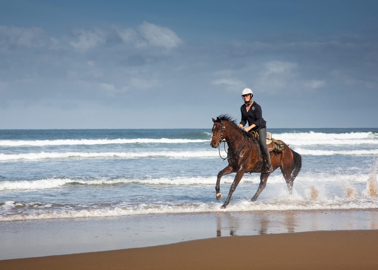 Kei Mouth Beginners Beach Ride image 5