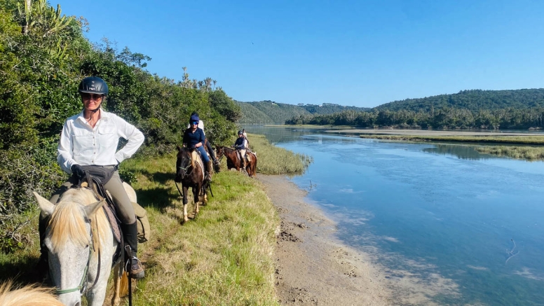 Kariega River Horse Ride image 9