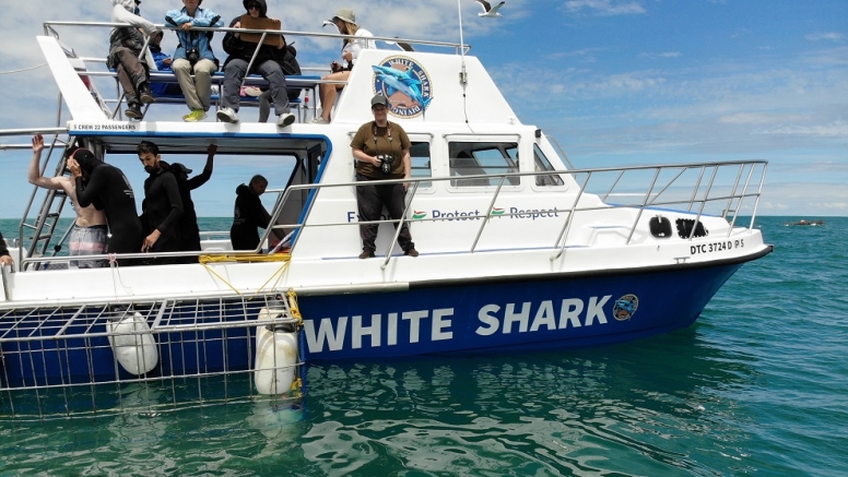 Shark Cage Diving in Gansbaai with White Shark Diving Company image 8