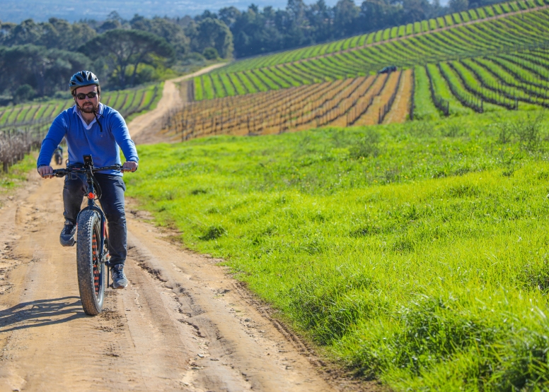 Half Day E Bike Winelands Tour image 2