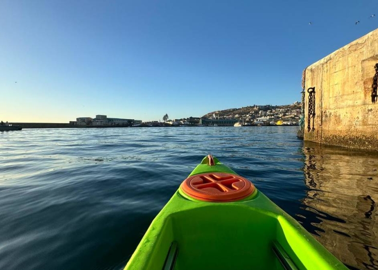 Kayak Adventures Mossel Bay image 5
